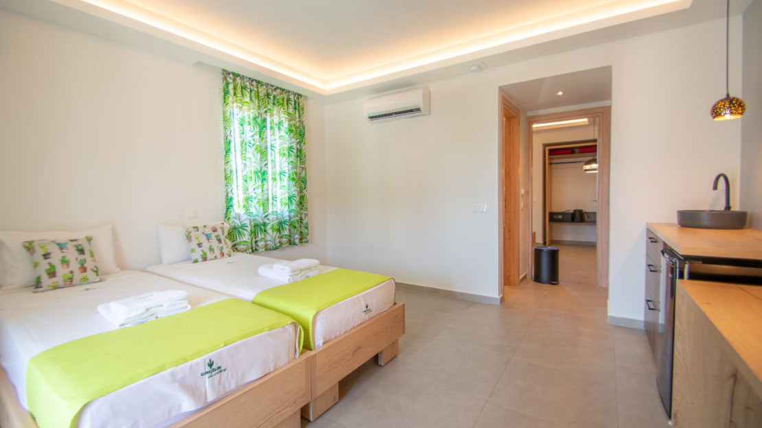 Deluxe One Bedroom Apartment